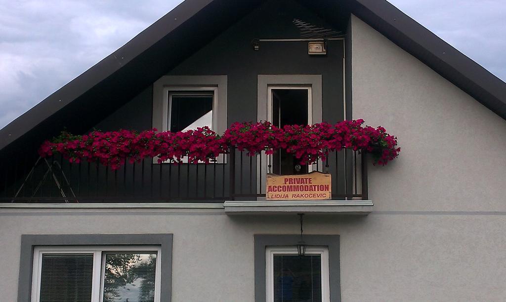 Private Accommodation Lidija Rakocevic Kolašin المظهر الخارجي الصورة